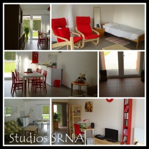 Studios srna